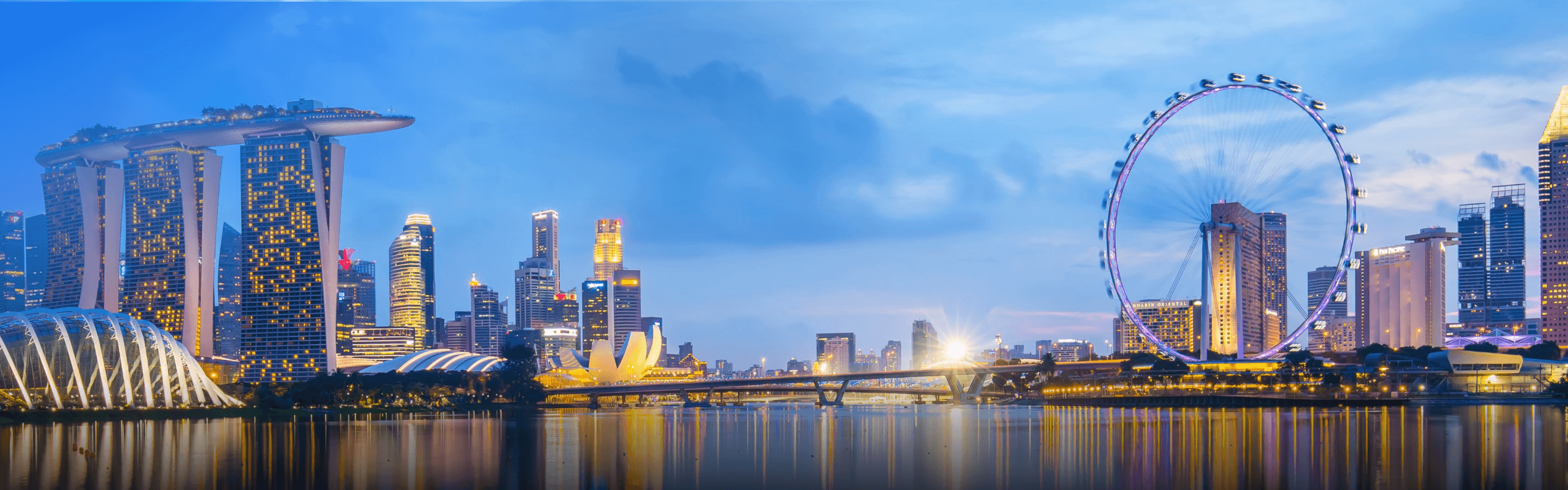 远程新加坡公司注册和开户