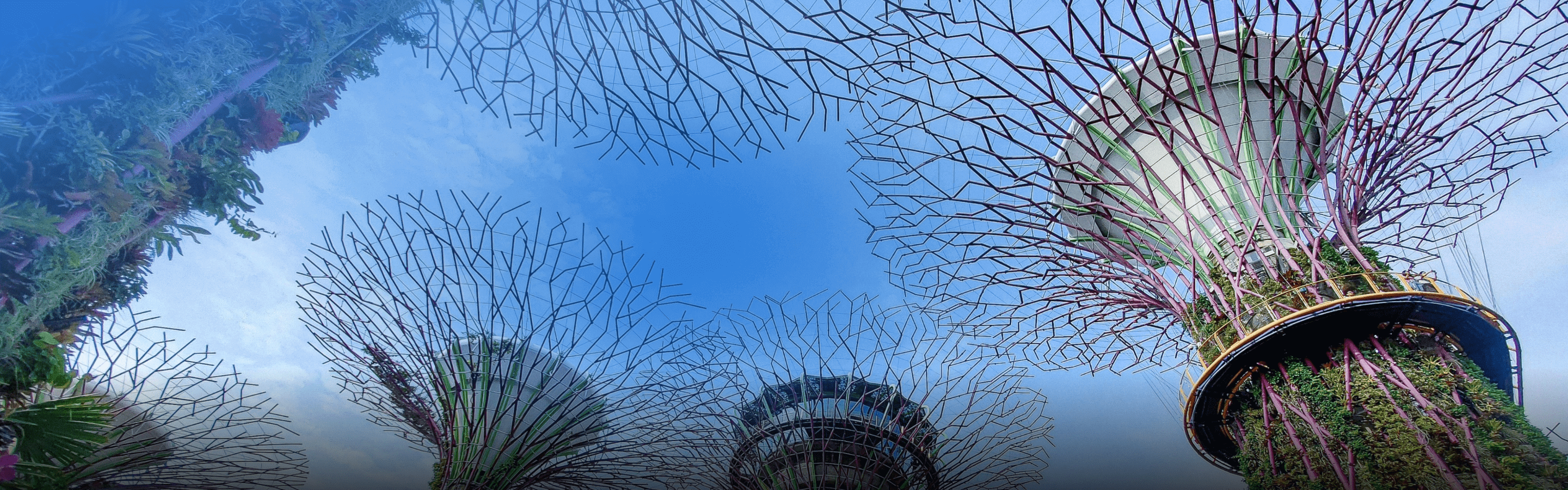 新加坡企业一站式解决方案